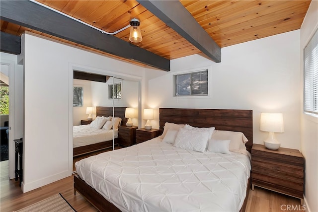 bedroom featuring multiple windows, hardwood / wood-style floors, and a closet