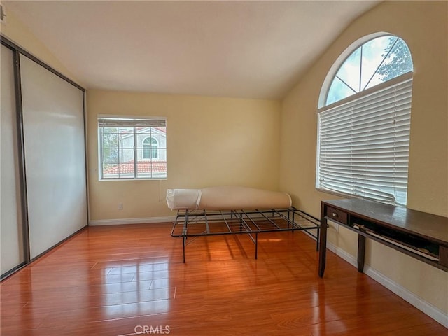 bedroom with multiple windows, a closet, and wood-type flooring