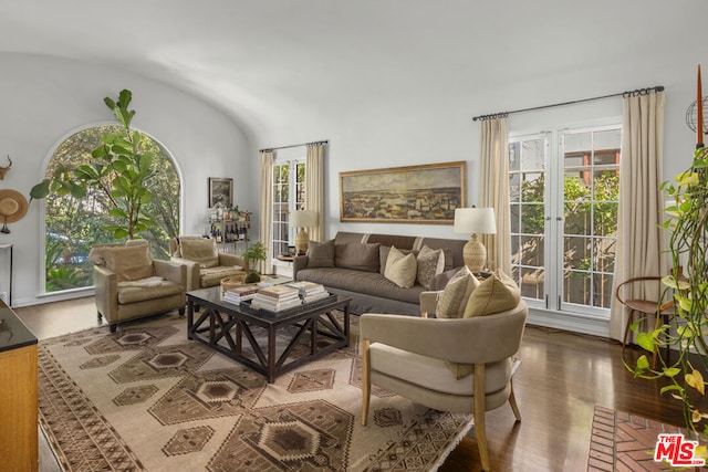 living room with wood-type flooring and vaulted ceiling