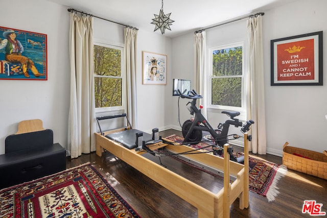 exercise room featuring dark hardwood / wood-style floors and plenty of natural light