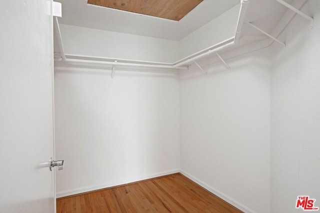 spacious closet featuring hardwood / wood-style flooring