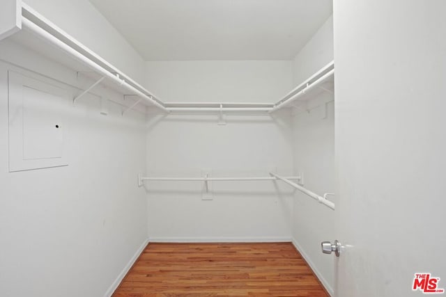 spacious closet with hardwood / wood-style flooring