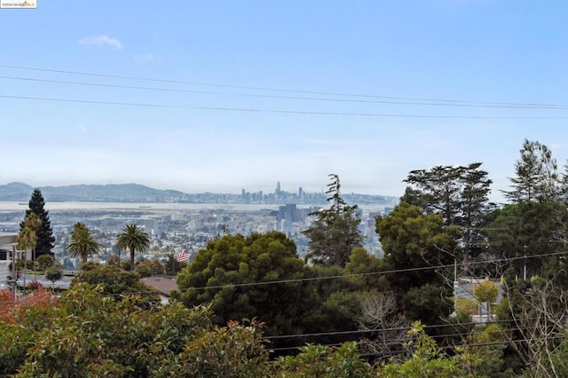 property view of water with a mountain view