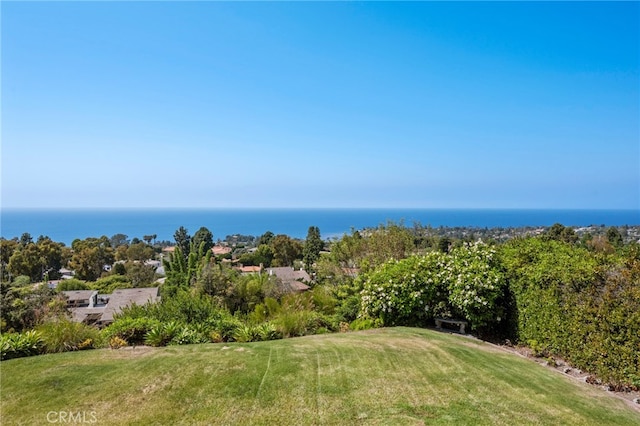 view of yard with a water view