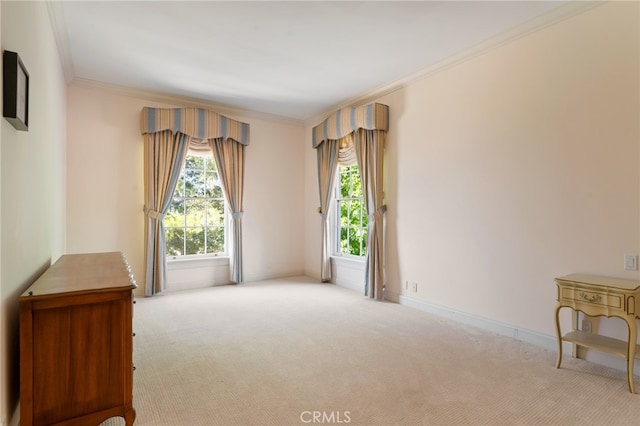 carpeted empty room featuring ornamental molding