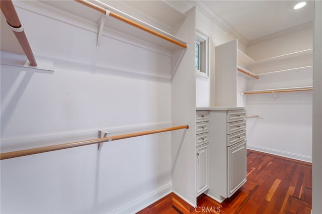 walk in closet with dark hardwood / wood-style flooring