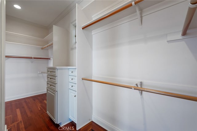 spacious closet with dark hardwood / wood-style flooring