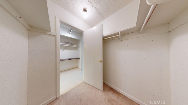 walk in closet featuring light colored carpet