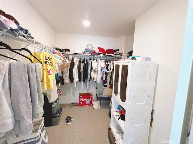 walk in closet featuring carpet floors