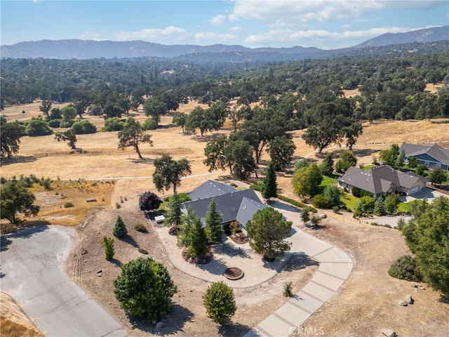 drone / aerial view featuring a mountain view