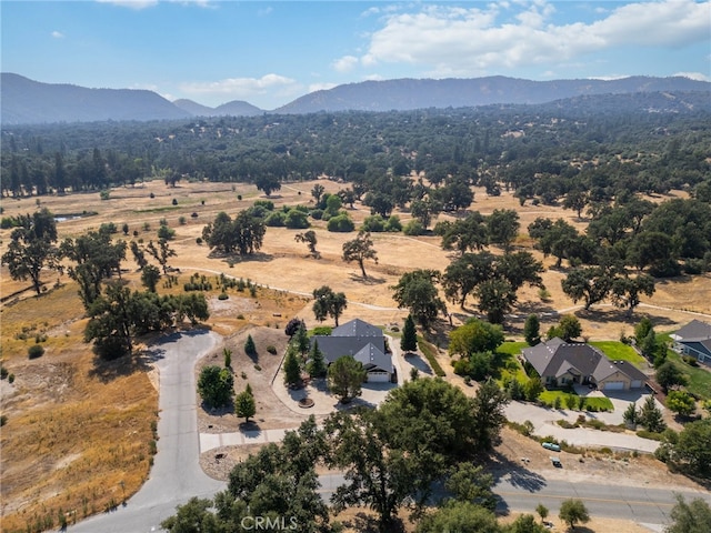 bird's eye view featuring a rural view and a mountain view