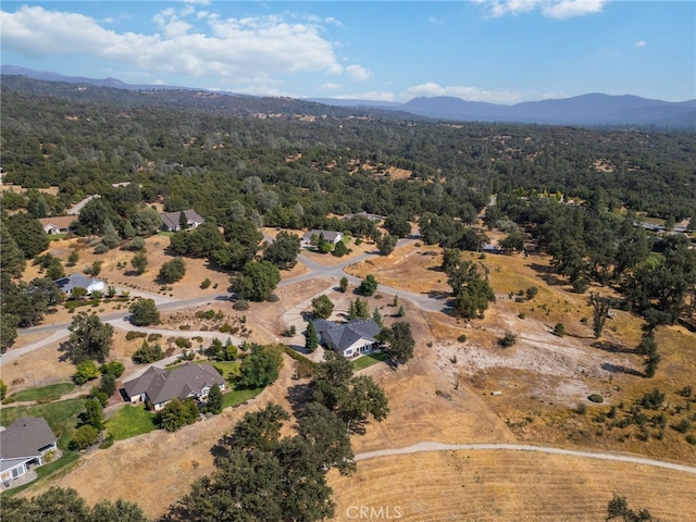 drone / aerial view featuring a mountain view