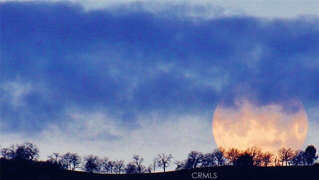 view of nature at dusk