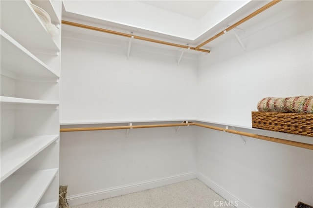 walk in closet with carpet flooring