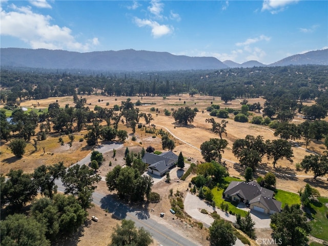 drone / aerial view featuring a mountain view and a rural view