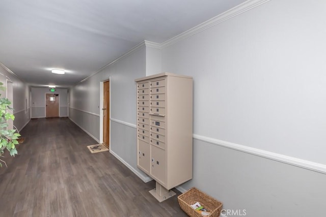 hall with crown molding, dark wood-type flooring, and a mail area