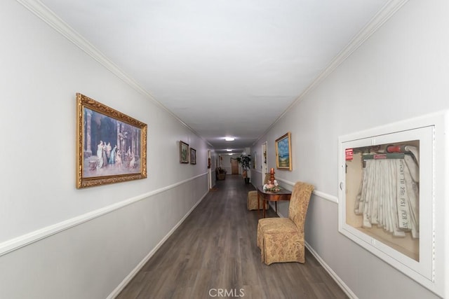 corridor with dark hardwood / wood-style floors and ornamental molding