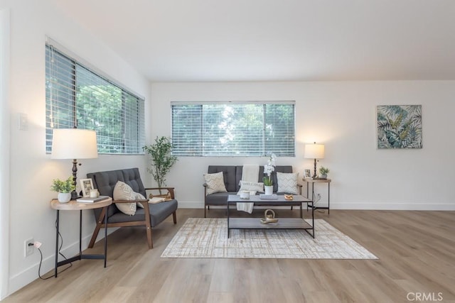 living area with wood-type flooring