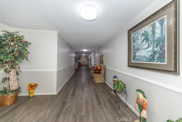 hall featuring ornamental molding and dark wood-type flooring