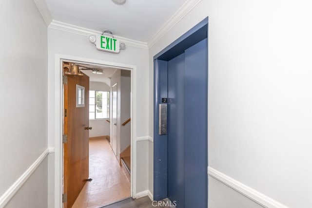 corridor with elevator, crown molding, and hardwood / wood-style flooring