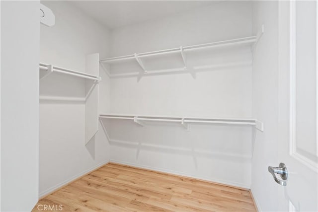 walk in closet featuring wood-type flooring