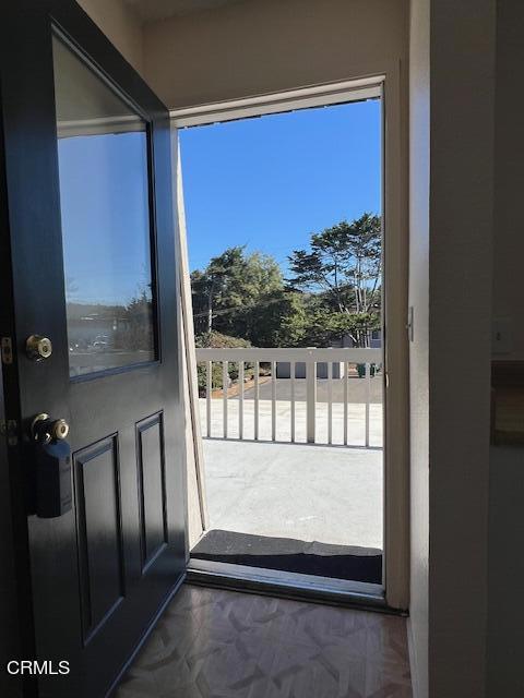 doorway featuring a wealth of natural light