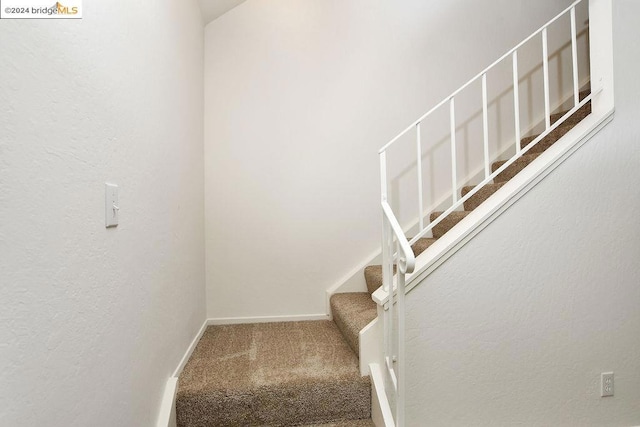 staircase featuring carpet