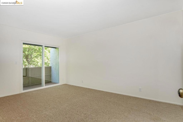 empty room featuring carpet