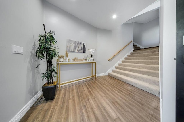 entrance foyer featuring wood-type flooring