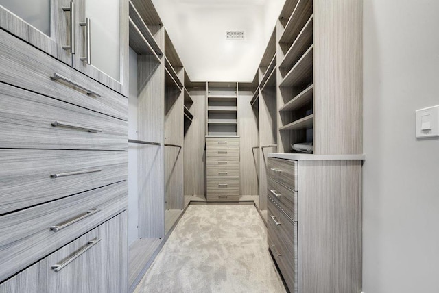 spacious closet featuring light carpet