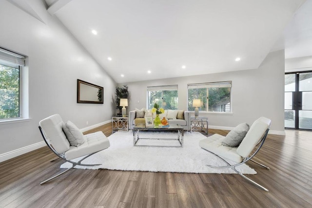 living room featuring a wealth of natural light, hardwood / wood-style floors, and high vaulted ceiling