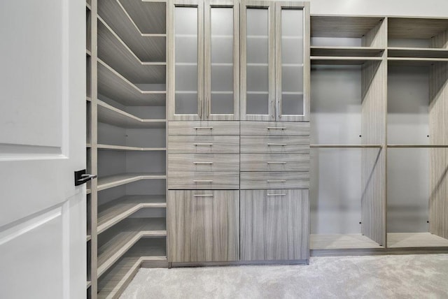 spacious closet with carpet