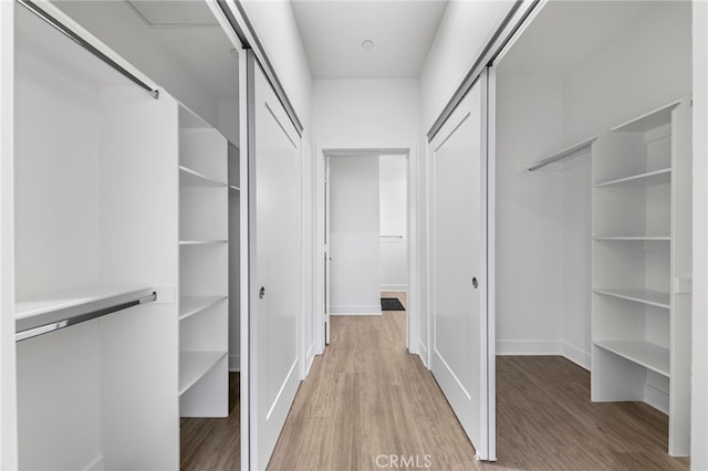 spacious closet featuring wood-type flooring