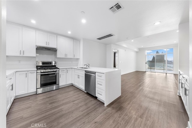 kitchen featuring kitchen peninsula, stainless steel appliances, and white cabinets