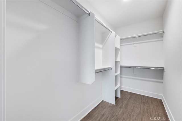 walk in closet featuring dark hardwood / wood-style flooring