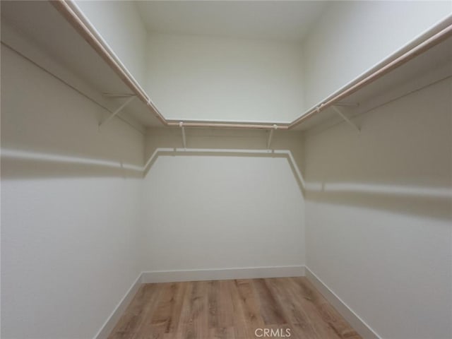 walk in closet featuring light wood-style floors