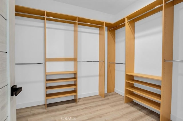 spacious closet featuring hardwood / wood-style flooring