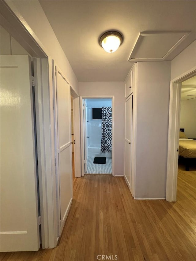 hallway featuring light hardwood / wood-style flooring