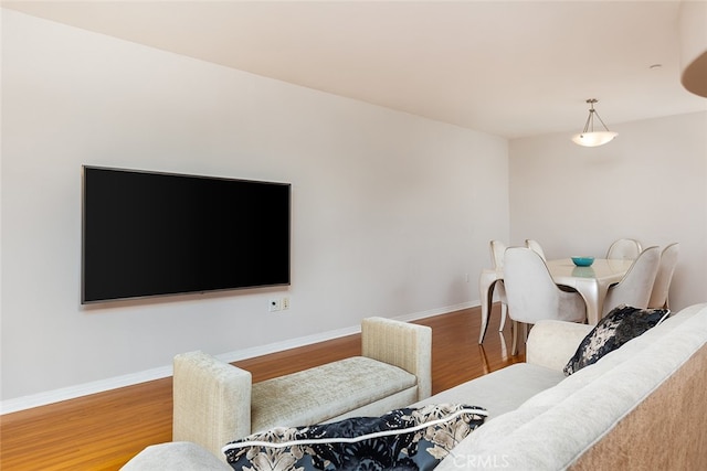 living room with hardwood / wood-style floors