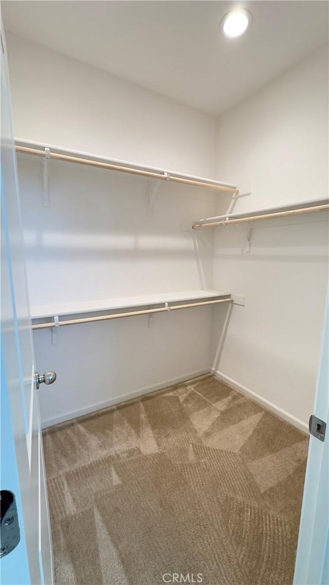 walk in closet with light carpet