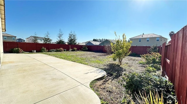 view of yard featuring a patio area