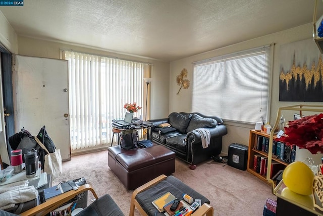 living room featuring a textured ceiling, light carpet, and plenty of natural light