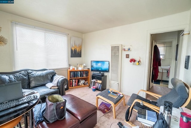 living room featuring light carpet