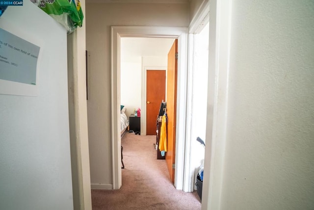 corridor featuring light colored carpet