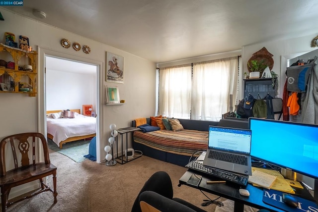 bedroom with carpet