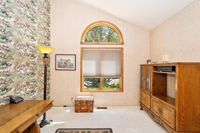 living area featuring carpet floors