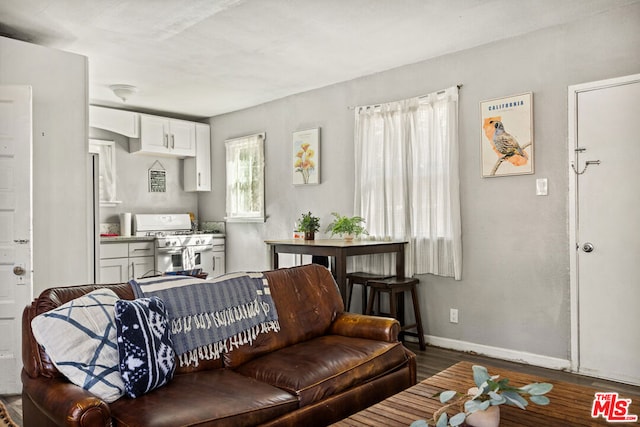 living room with dark hardwood / wood-style flooring