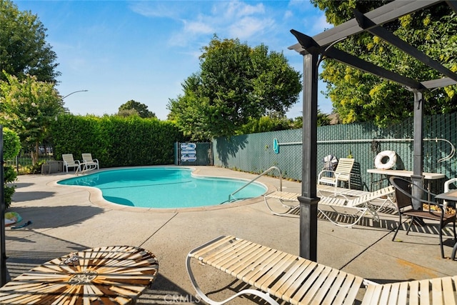 view of swimming pool with a patio area