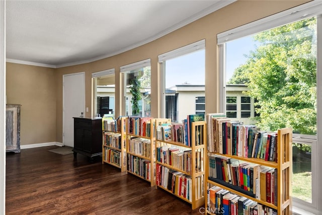 interior space featuring dark hardwood / wood-style floors and crown molding