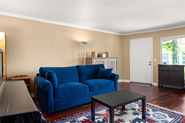 living room with crown molding and dark hardwood / wood-style floors